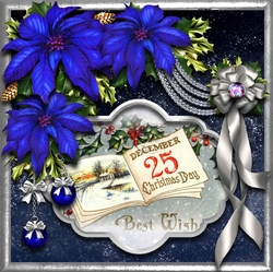 Starry Night Poinsettia Palette 18