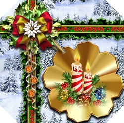 A Christmas Gift in White 16