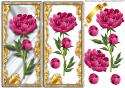 Flowers for all occaisions peony