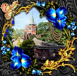 Elegant View 15