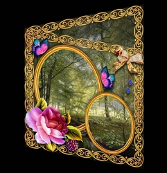 Woodland Walk 3