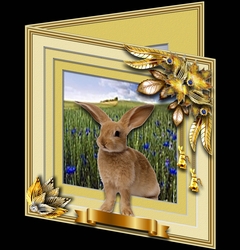 Animals Stepping Out - Bunny