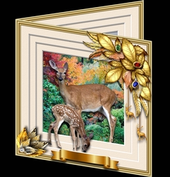 Animals Stepping Out - Deer