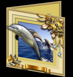 Animals Stepping Out - Dolphin
