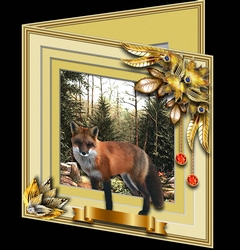Animals Stepping Out - Fox