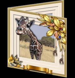 Animals Stepping Out - Giraffe