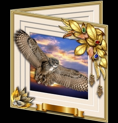 Animals Stepping Out - Owl