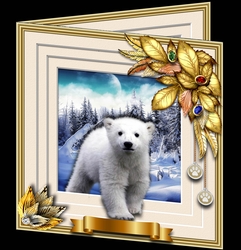 Animals Stepping Out - Polar Bear