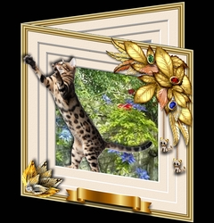 Animals Stepping Out - Tabby