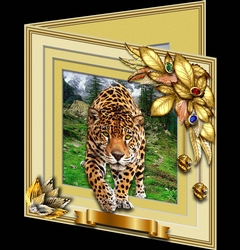 Animals Stepping Out - Leopard