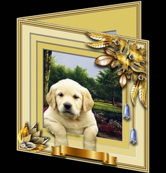Animals Stepping Out - Puppy