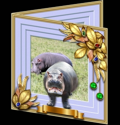 Wildlife Stepping Out - Hippo
