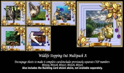 Wildlife Stepping Out Multipack A