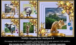 Wildlife Stepping Out Multipack B
