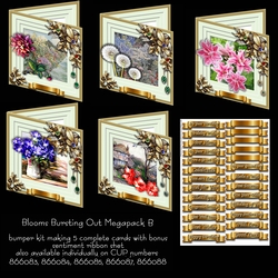 Blooms Bursting Out Megapack B