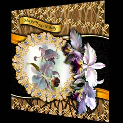Bejewelled Blooms - Orchids