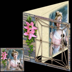 Picturesque Ladies 10