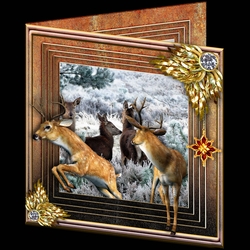 Stepping Out Again - Deer