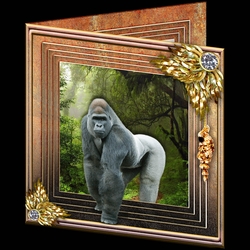 Stepping Out Again - Gorilla