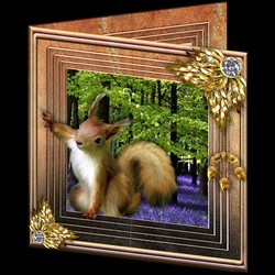 Stepping Out Again - Red Squirrel