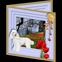 Stepping out Year of the Dog C