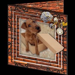 Stepping Out - More Dogs 2