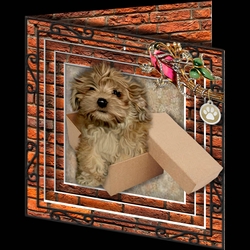 Stepping Out - More Dogs 3