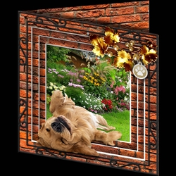 Stepping Out - More Dogs 6