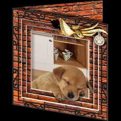 Stepping Out - More Dogs 11