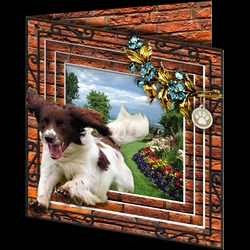 Stepping Out - More Dogs 13