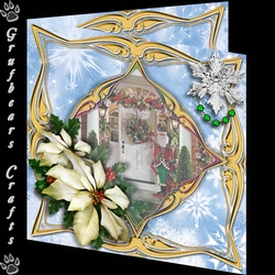 Pictures in the snow - Porch