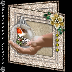 The Ornament - Robin