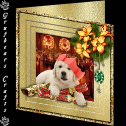 Stepping Out Christmas - Christmas is crackers