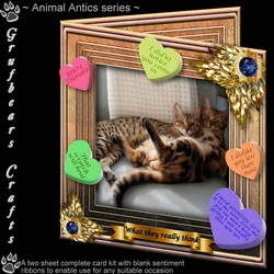 Animal Antics - What they really think