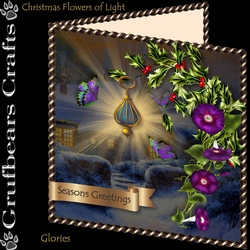 Christmas Flower of Light - Glories
