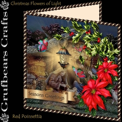 Christmas Flowers of Light - Red Poinsettia