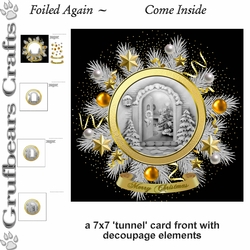 Foiled Again - Come Inside
