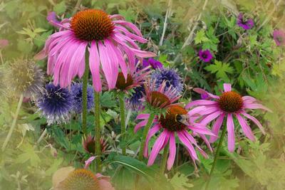 Flowers 2