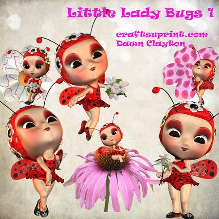 Little Lady Bugs 1