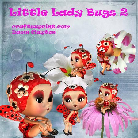 Little Lady Bugs 2