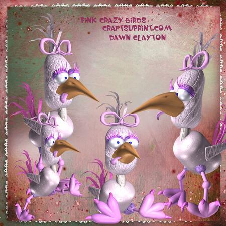 Pink Crazy Birds