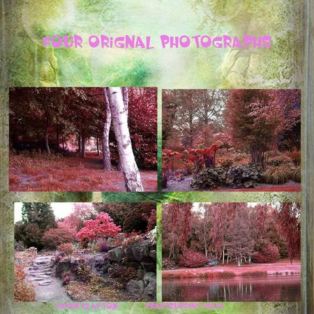 My Landscapes 1
