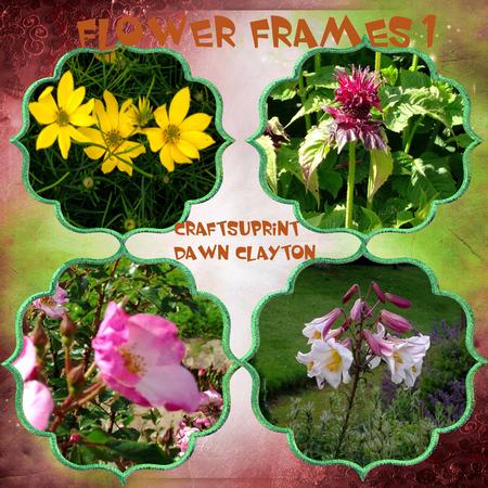 Flower Frames 1