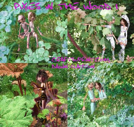 Pixies in the Wood 1