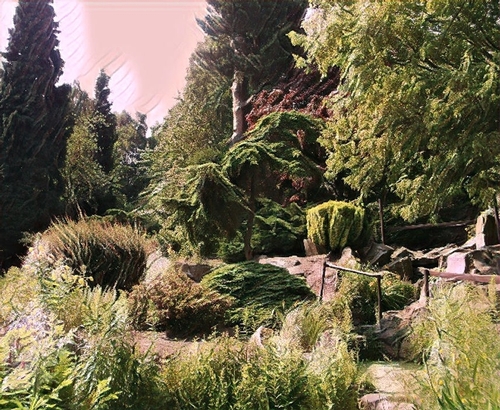 Fantasy Garden