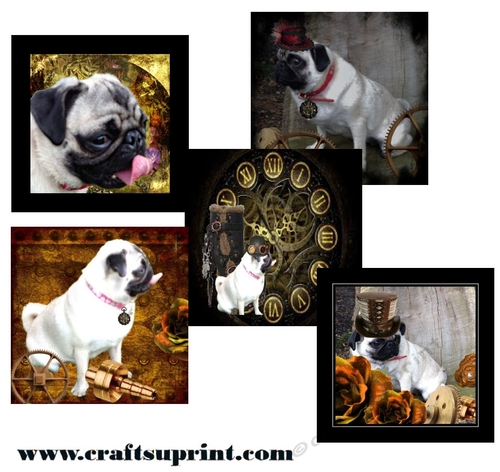 My Steampunk Pug
