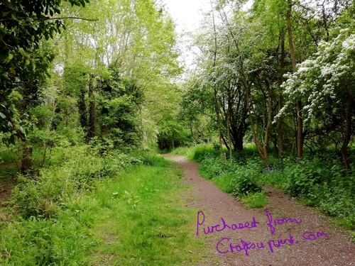 A walk in May
