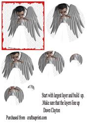 Angel 6