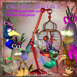 Crazy Birds 1