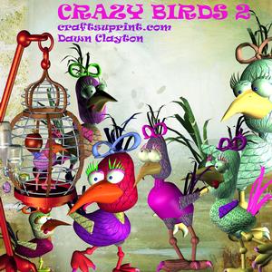 Crazy Birds 2